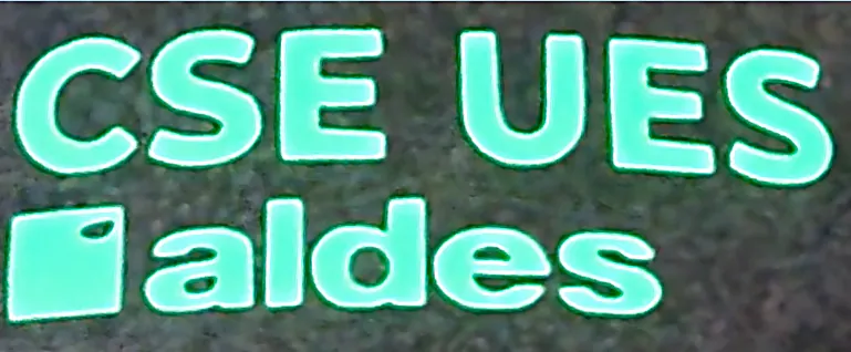 Marquage au flex fluorescent vert sur sac à dos RPET Dronte – détail du logo.